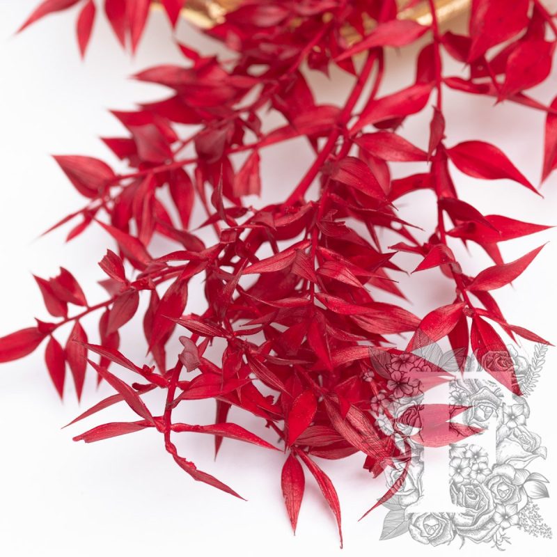 Bright Red