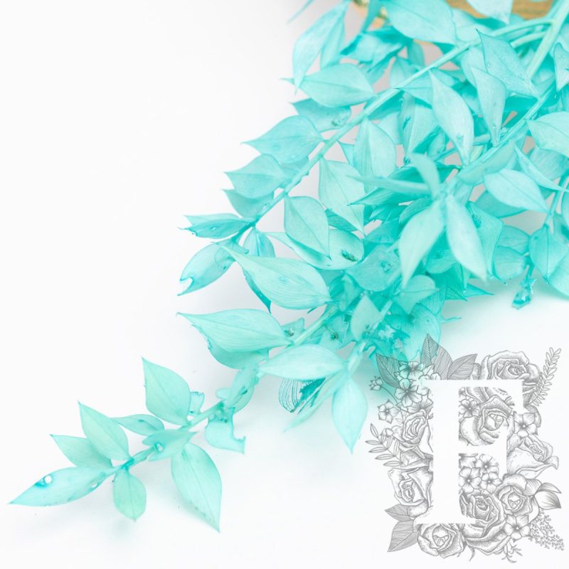 Turquoise