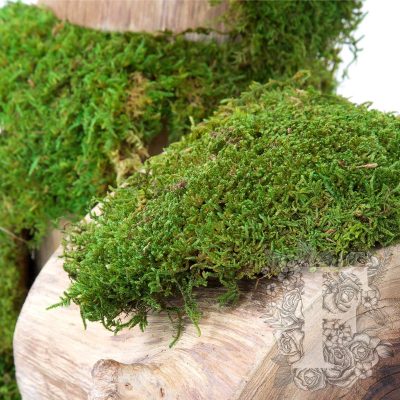Flat Moss - 500G