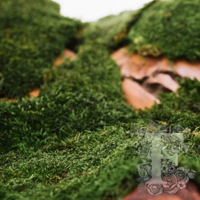 Flat Moss - 500G