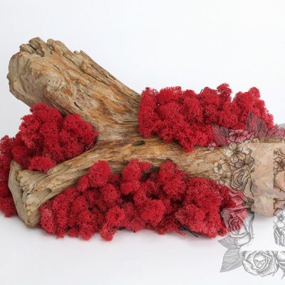 Standard Icelandic Lichen Moss - 425g