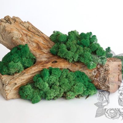 Standard Icelandic Lichen Moss - Bulk 2.6KG