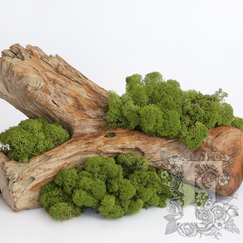 Moss Green