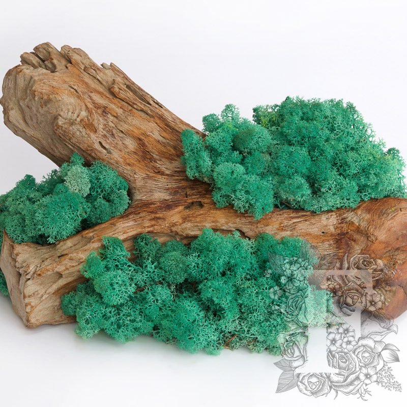 Pacific Green