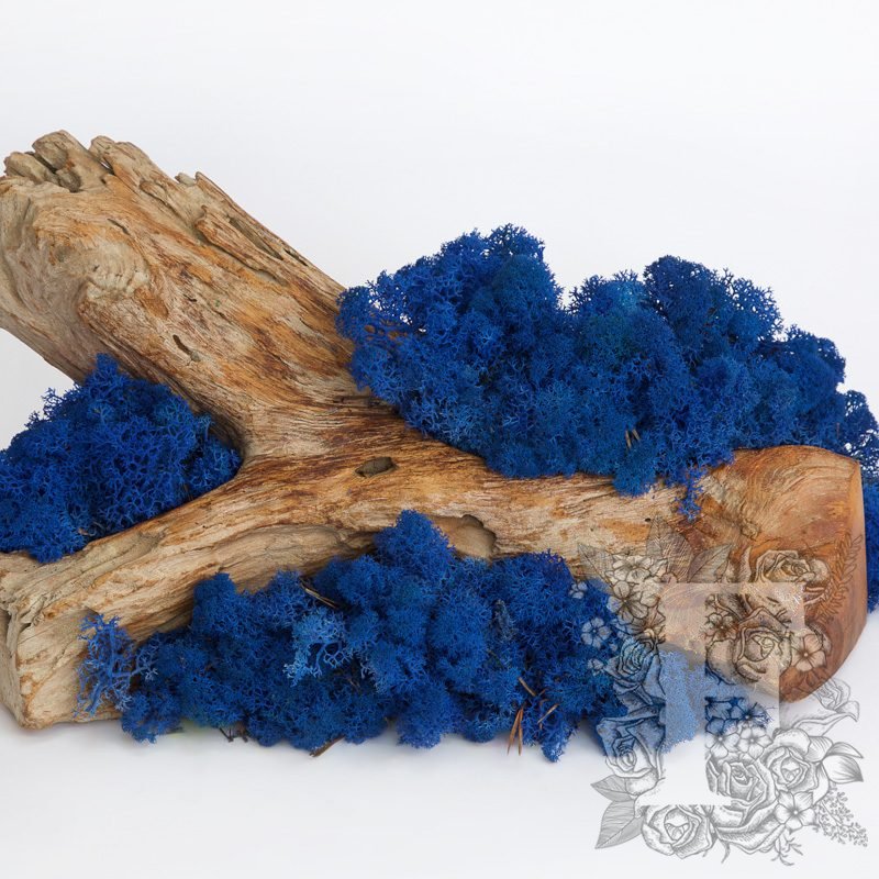 Royal Blue