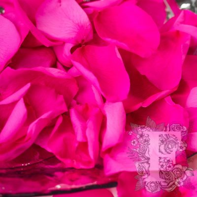 Standard Rose Petals - Window Box -100 g
