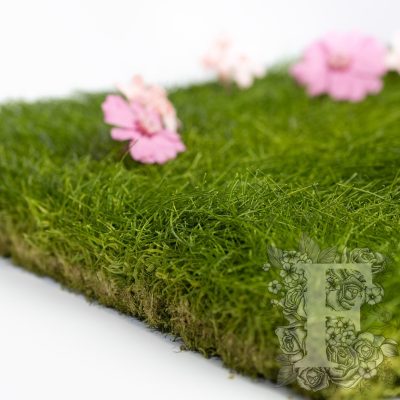 Turf - 30cm by 37cm