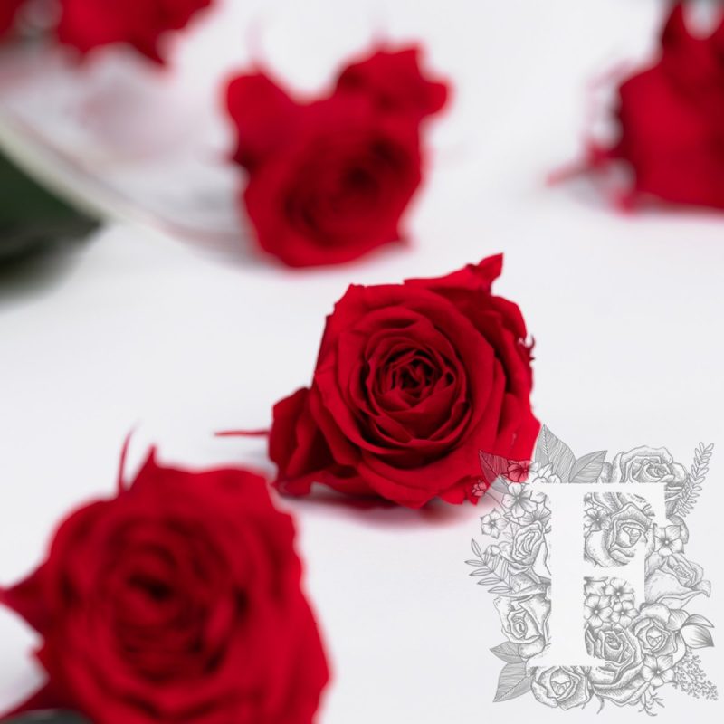 Red 02