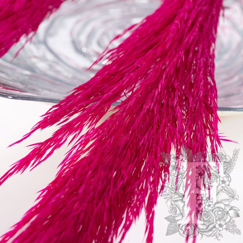 Cerise