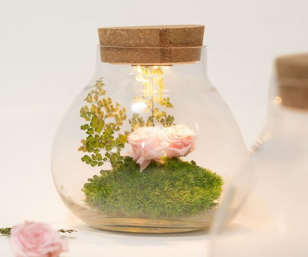 Shop our brand new Deco range! Add a little something special to your florals, with our selection of stunning glass containers, vases, and ceramics to elevate your interiors.