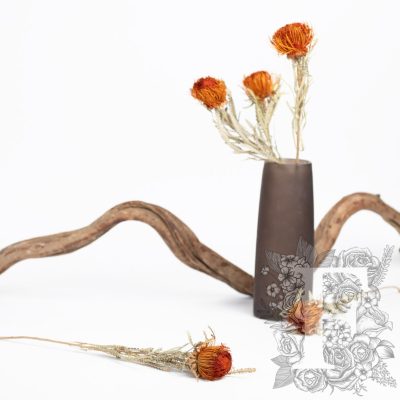 Banksia Dryandra - 3 Stem