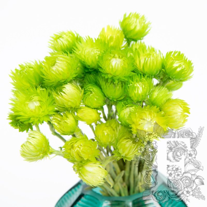Apple Green