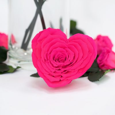 Heart Rose - XXL -1 Head