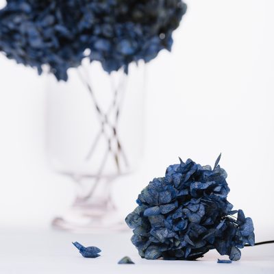 Standard Hydrangea - Stem