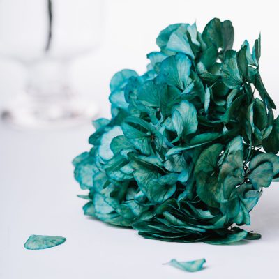 Fora Exclusive Hydrangea - Stem