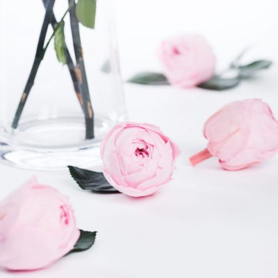 Garden Rose - Peonies - Niki - 6 Heads