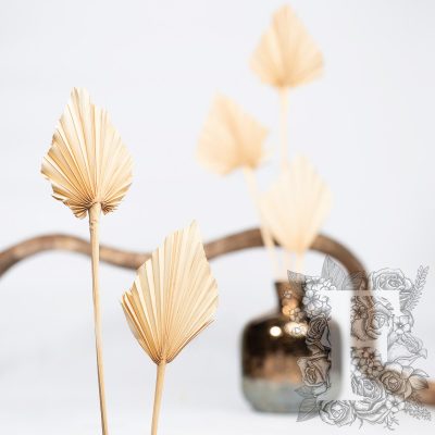 Palm Spear - 5 Stems
