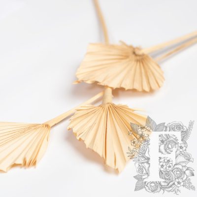 Palm Spear - 5 Stems