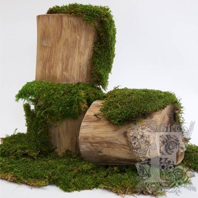 Flat Moss - Bulk - 2.5KG