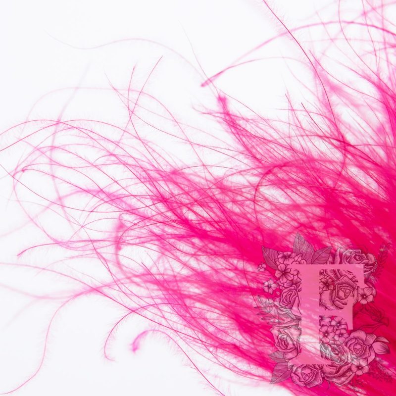 Cerise